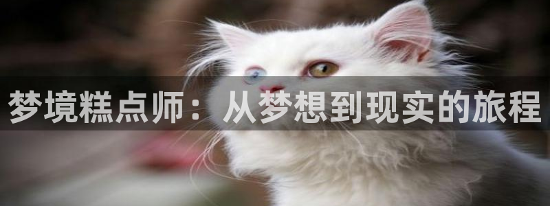 光之子漫画免费下拉式奇漫屋：梦境糕点师：从梦想到现实的旅程