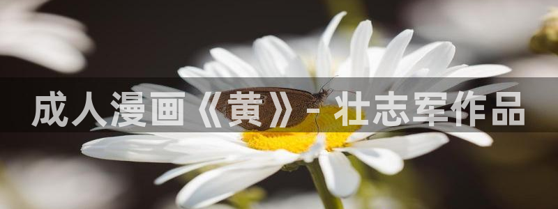 诚信守则漫画下拉式漫画奇漫屋：成人漫画《黄》- 壮志军作品