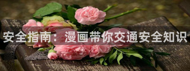 阿衰漫画免费版下拉式奇漫屋：安全指南：漫画带你交通安全知识