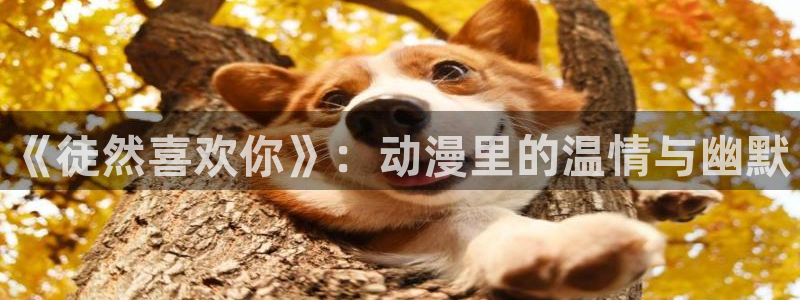 奇漫屋下拉式漫画免费：《徒然喜欢你》：动漫里的温情与幽默