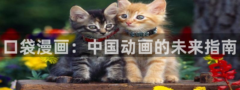 奇漫屋画官方-免费漫画下拉式在线：口袋漫画：中国动画的未来指南