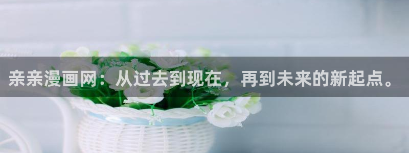 传武漫画下拉式奇漫屋：亲亲漫画网：从过去到现在，再到未来的新起点。
